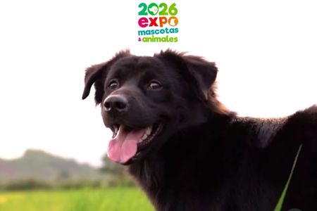 Expo Mascotas 2026