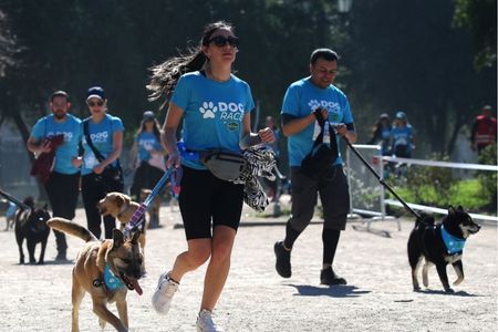 Corrida Dog Race