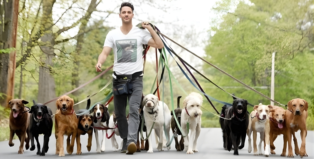 PetCenter Providencia