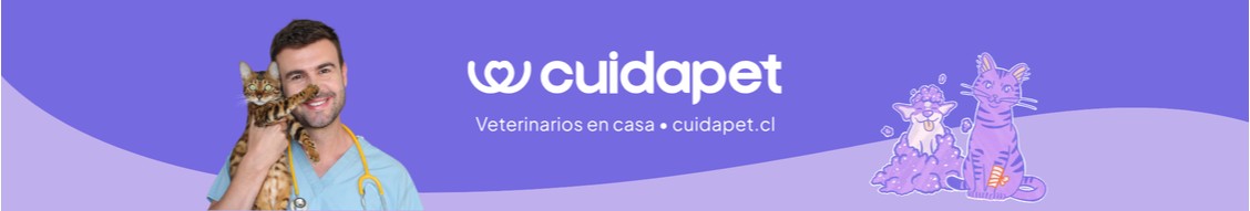 CuidaPet — Veterinarios en casa