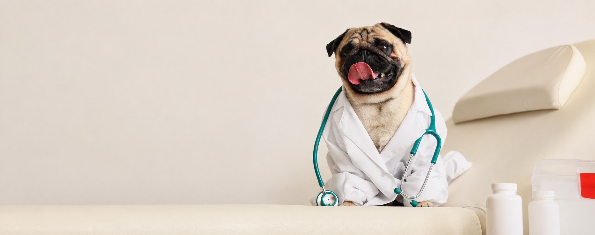 Perro disfrazado de veterinario con bata y estetoscopio