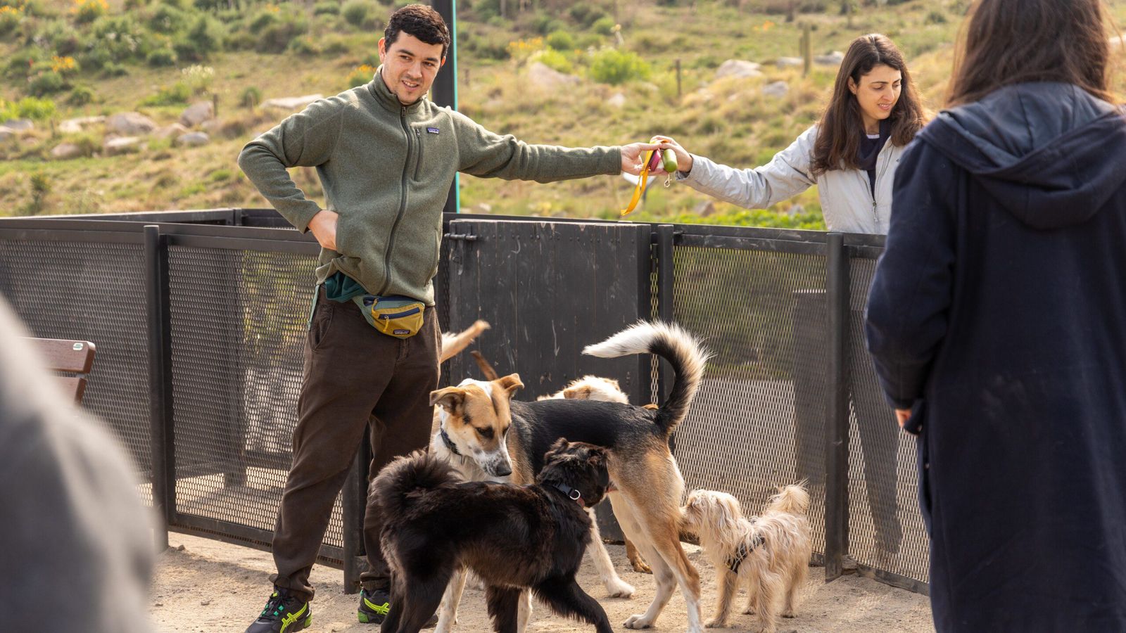 Pet Walk Bellavista 2026