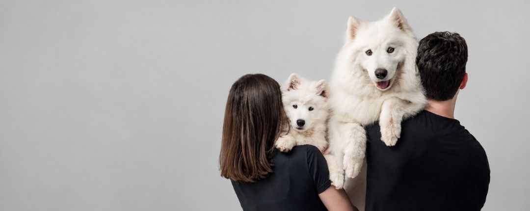 Perro junto a su familia